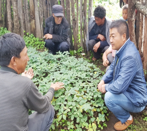 雲南BG大游集团農業總經理和種植戶交流