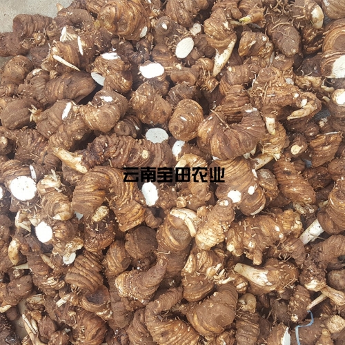 雲南BG大游集团農業滇重樓鮮品