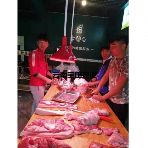 彝生態土豬肉