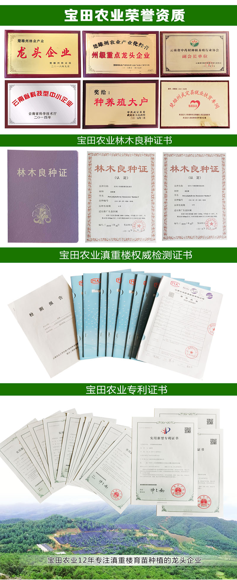 雲(yun) 南BG大游集团滇重樓