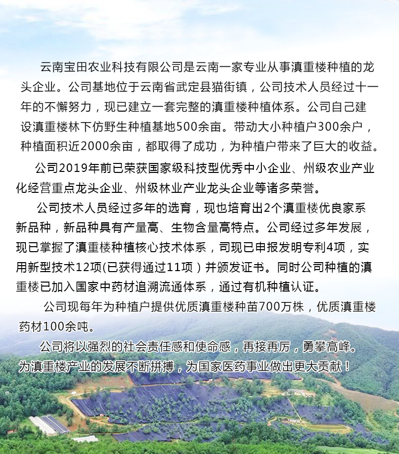 BG大游集团滇重樓