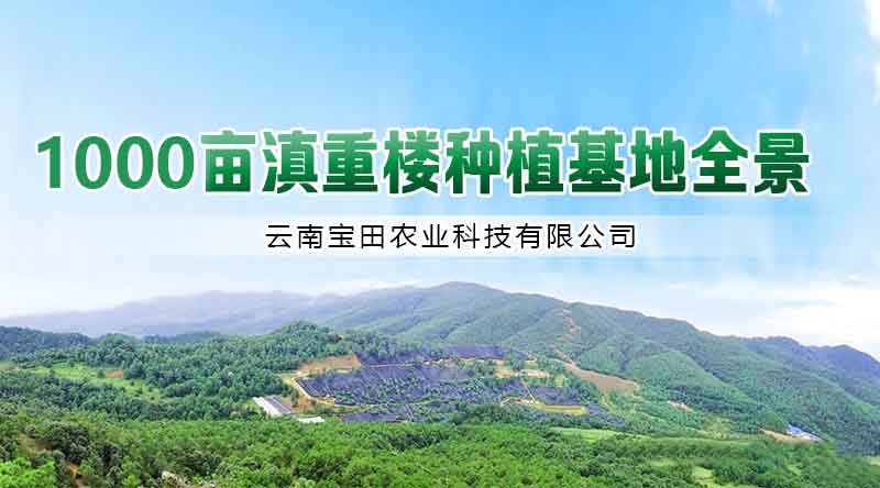 BG大游集团5.jpg