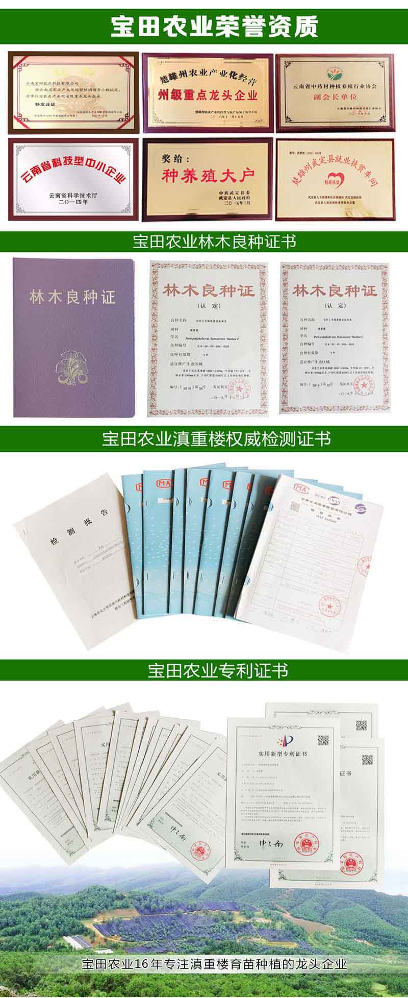 BG大游集团2.jpg